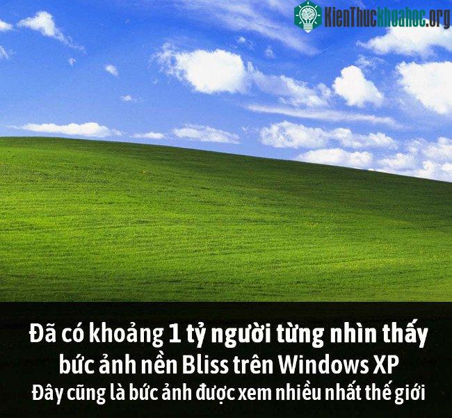 Tổng hợp những sự thật thú vị có thể bạn chưa biết! ảnh 4