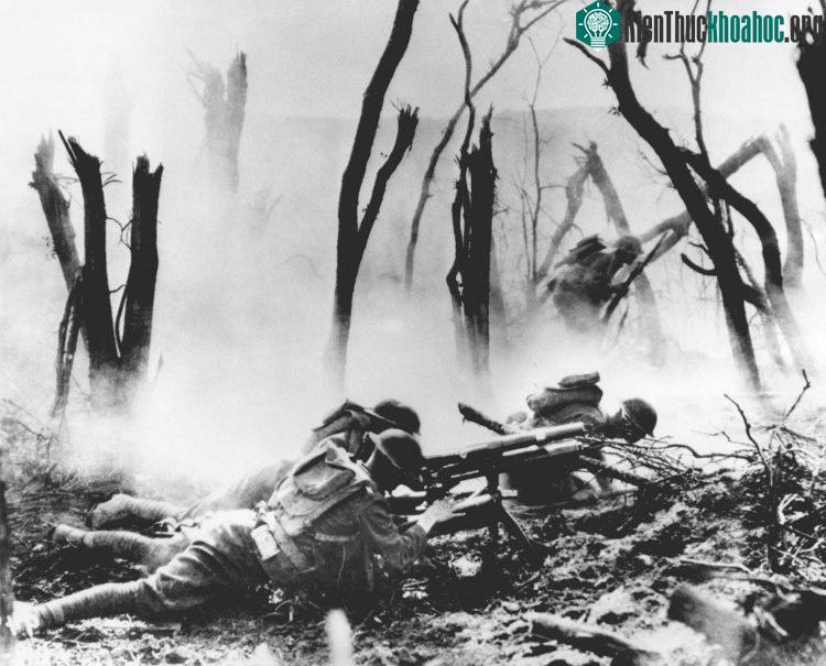 Trận chiến rừng Argonne