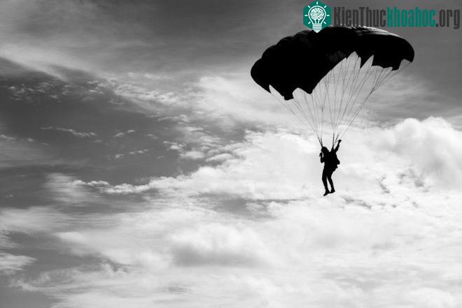 Gió mạnh đưa dù ông Rankin đâm thẳng xuống một cái cây