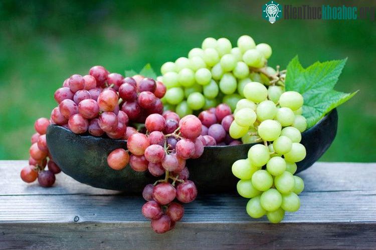Nho có khả năng kích hoạt sự tự tiêu hủy của tế bào gây ung thư gan.