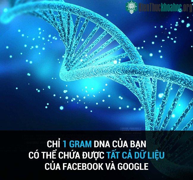 Tổng hợp những sự thật thú vị có thể bạn chưa biết! ảnh 41
