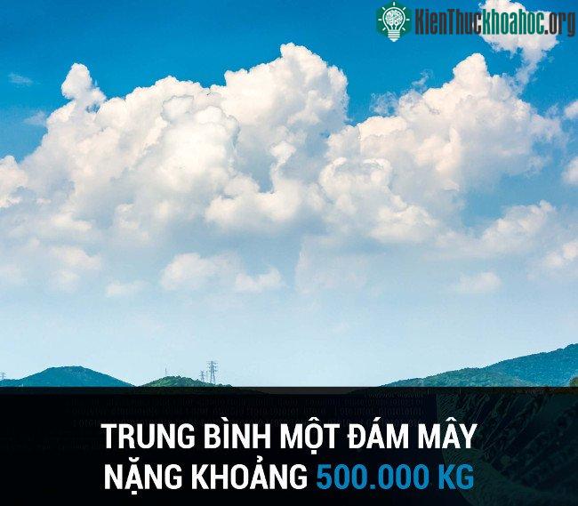 Tổng hợp những sự thật thú vị có thể bạn chưa biết! ảnh 42