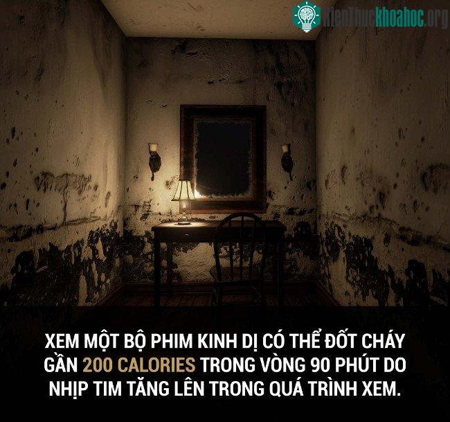 Tổng hợp những sự thật thú vị có thể bạn chưa biết! ảnh 43