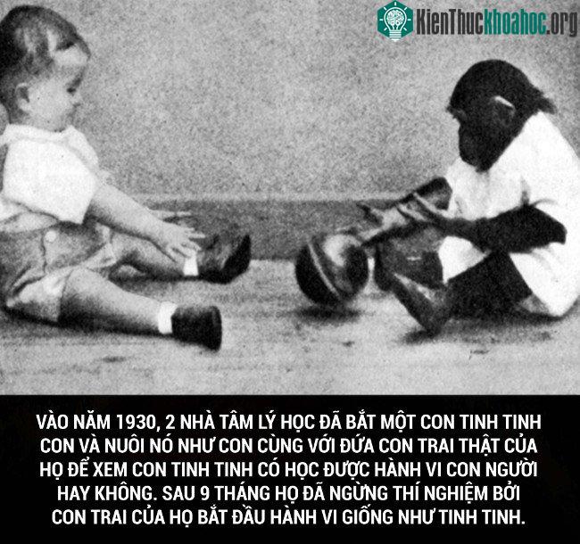 Tổng hợp những sự thật thú vị có thể bạn chưa biết! ảnh 44