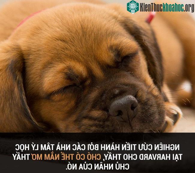 Tổng hợp những sự thật thú vị có thể bạn chưa biết! ảnh 46