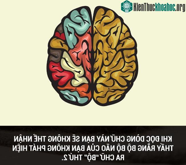 Tổng hợp những sự thật thú vị có thể bạn chưa biết! ảnh 47