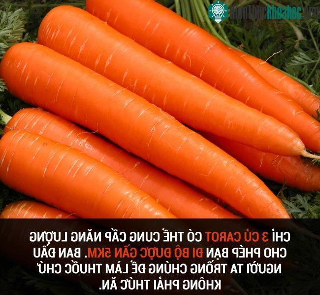 Tổng hợp những sự thật thú vị có thể bạn chưa biết! ảnh 48