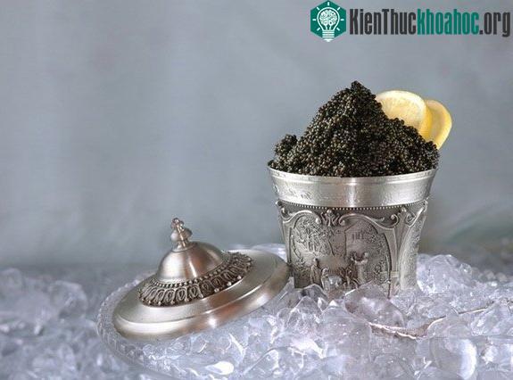 Sa hoàng Alexander I đã thưởng thức món trứng cá muối