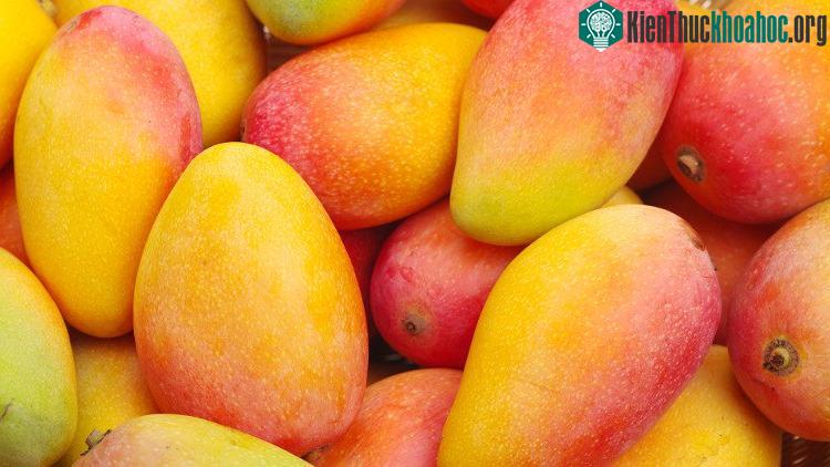 Xoài có thịt quả màu cam, giàu vitamin A, rất tốt cho mắt.