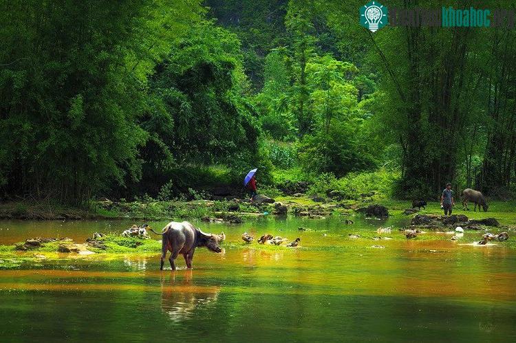 Đến Trùng Khánh, du khách sẽ bắt gặp những hình ảnh vô cùng bình dị nhưng đẹp đến lạ thường.