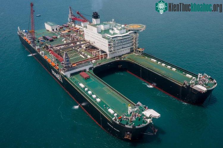 Pieter Schelte có chiều dài 382m, rộng 124m
