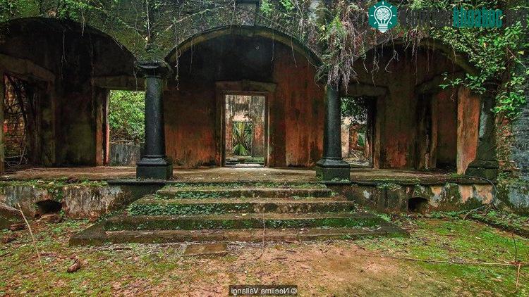 Trên đảo Ross, giữa những tàn tích của các công trình đồ sộ chỉ còn lại âm thanh của các loài động vật.