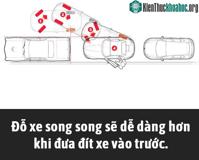 Tổng hợp những sự thật thú vị có thể bạn chưa biết! ảnh 7