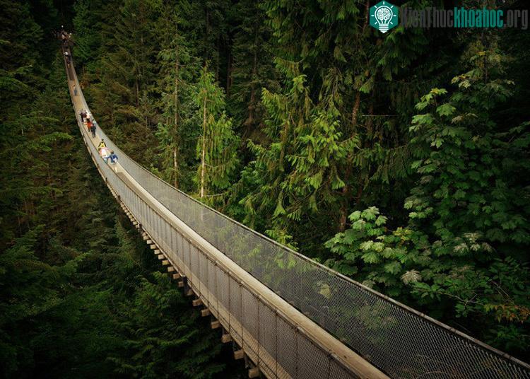 Cầu treo Capilano, Bắc Vancouver, Canada
