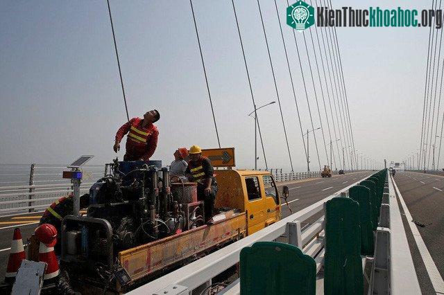 Dự kiến sẽ có khoảng 40.000 phương tiện đi qua lại cây cầu này hàng ngày