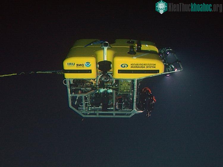 Phương tiện ROV Hercules hạ xuống khu vực tàn tích của tàu Titanic.