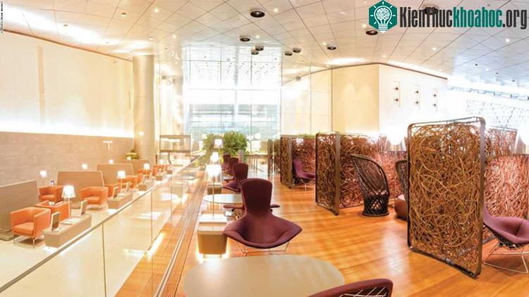 Phòng chờ hạng thương gia của Qatar Airways có diện tích 10.000 mét vuông