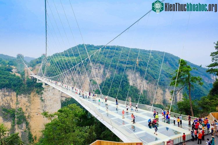 Cầu đáy kính công viên rừng quốc gia Trương Gia Giới, tỉnh Hồ Nam, Trung Quốc