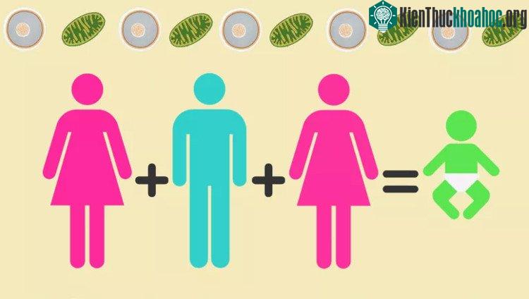Kỹ thuật chỉnh sửa gene ra đời nhằm hỗ trợ chị em bị dị tật di truyền sinh con khỏe mạnh, không mắc bệnh. (Ảnh: BO).