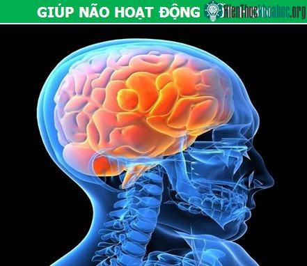 Nhạc cổ điển giúp não bộ hoạt động tốt hơn