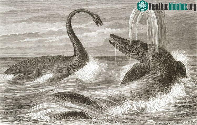 Mô phỏng lại quái vật sông Saurian.