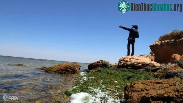 Một người đàn ông hướng ra biển Địa Trung Hải từ quần đảo Kerkennah, Tunisia