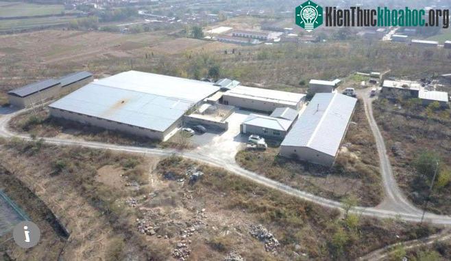 Một trang trại gián quy mô lớn ở Trung Quốc.