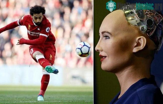 Robot Sophia.