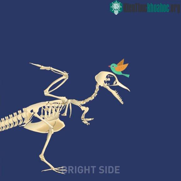 Động vật cổ đại có kích thước lớn hơn rất nhiều so với ngày nay.