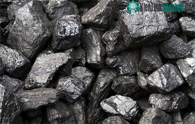 Than là một dạng nhiên liệu hóa thạch.