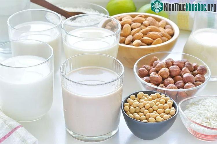 Sữa hạt là tên gọi các loại thức uống chế biến từ các loại hạt.