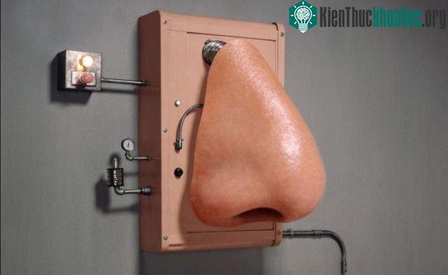 Những chiếc máy này, được gọi là sắc ký khí ghép khối phổ (GC-MS).