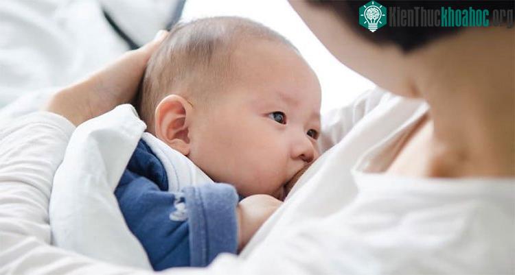 Sữa mẹ là thức ăn tốt nhất cho trẻ sơ sinh và trẻ nhỏ.
