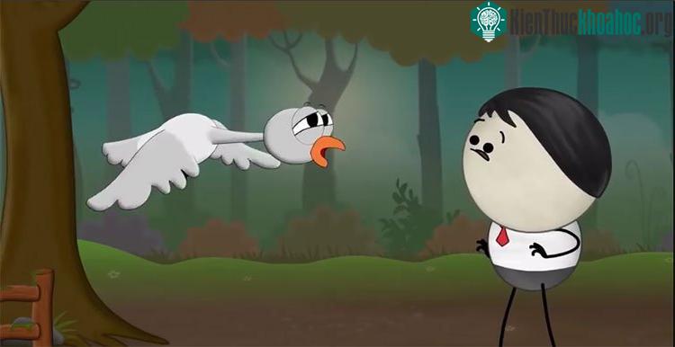 Loài chim có khả năng dự đoán báo hoặc lốc xoáy.
