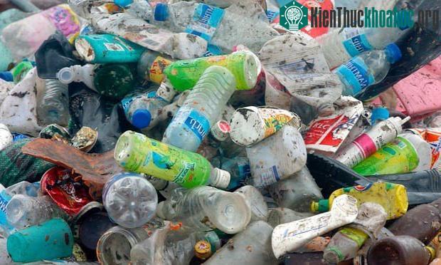Chai nhựa chúng ta vứt đi hàng ngày sẽ tồn tại đến hàng trăm năm.