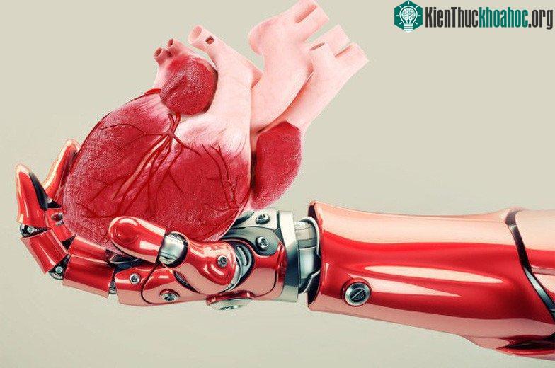Các nhà nghiên cứu đã tìm ra cách nuôi cấy thành công những tế bào này thành các dạng cấu trúc 3D phức tạp. (Ảnh: NEW YORK POST).