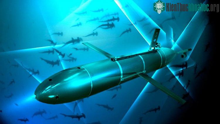 Đồ họa tàu ngầm hạt nhân không người lái Poseidon/Status-6 của Nga.