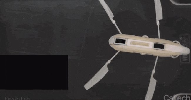 Mẫu robot có thể tự di chuyển dưới nước mà không cần tới động cơ hoặc pin.