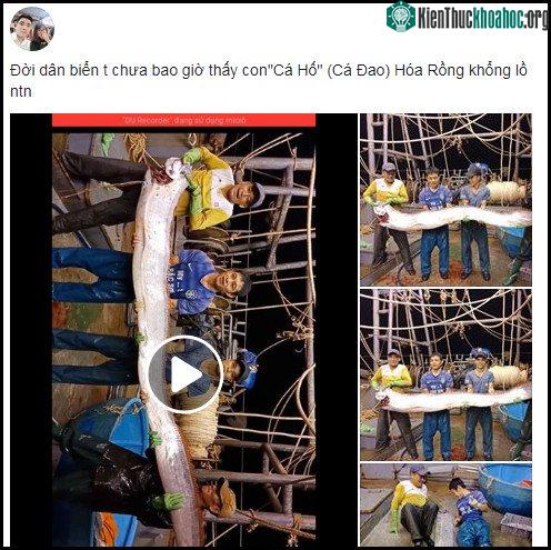 Một thành viên đăng tải hình ảnh trong chuyến đi biển đêm mới đây.