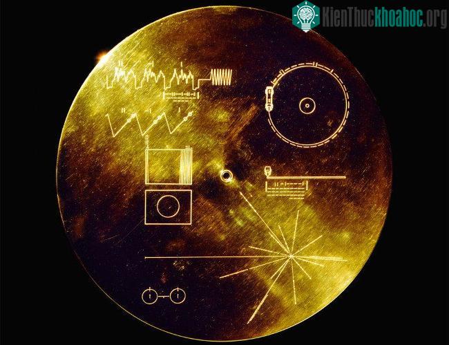 Đĩa ghi vàng được đưa vào vũ trụ trên lưng tàu thăm dò Voyager 1 và 2.
