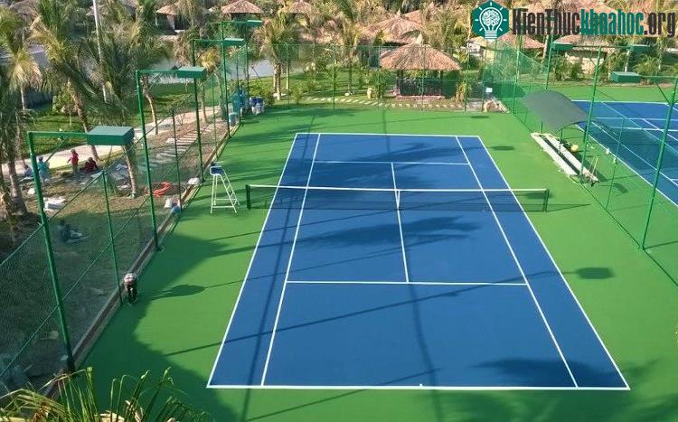 Sân cứng thích hợp với những trận đấu tấn công.