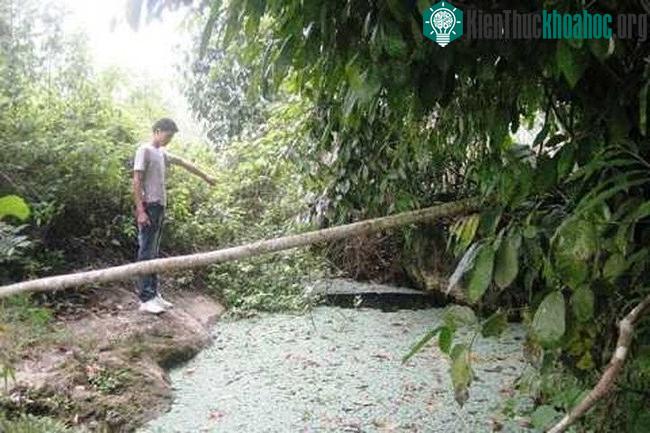 Hang nước mang nhiều câu chuyện kỳ lạ và huyền bí.