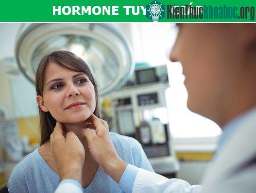 Hormone Tuyến giáp