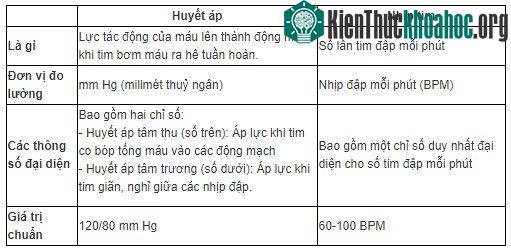 Sự khác biệt giữa huyết áp và nhịp tim