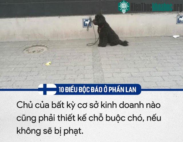 Thiết bị buộc chó