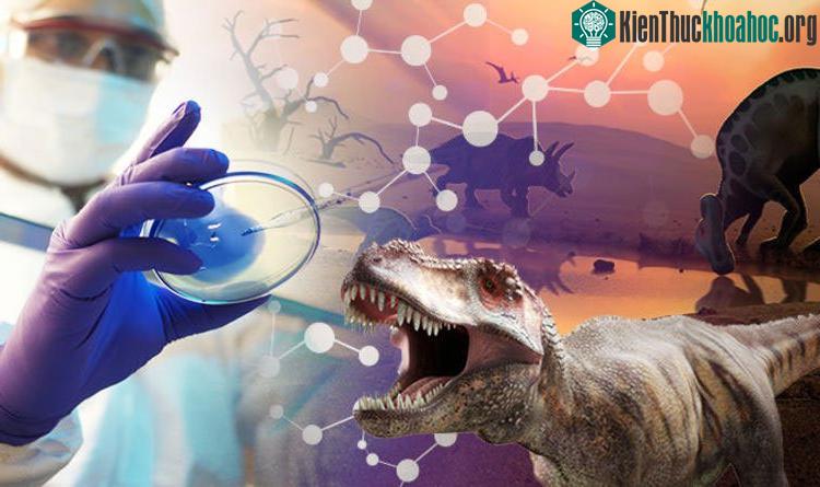 Bằng kỹ thuật đảo ngược sẽ tạo ra được một loài mới là “Gà khủng long”.