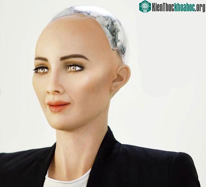 Robot Sophia sẽ đến Việt Nam vào tháng 7 tới.
