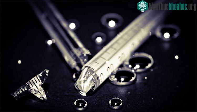 Cách bạn hấp thụ và loại thủy ngân giữ vai trò quan trọng quyết định mức độ tổn thương.