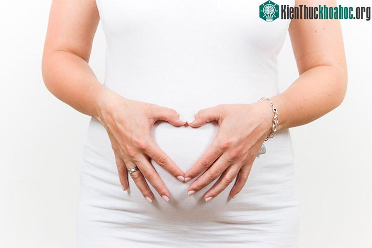 Buồng trứng nhân tạo là buồng trứng của con người được "tái tạo sinh học", chỉ còn trơ chiếc khung vì đã bị loại bỏ DNA và nhiều yếu tố sinh học - (ảnh: myeIVF)