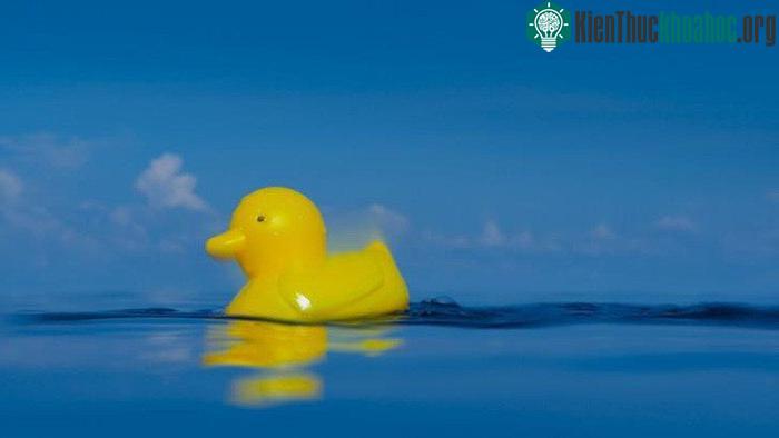 Nhiều loài động vật thậm chí đã chọn ăn nhựa. (Ảnh: BBC).